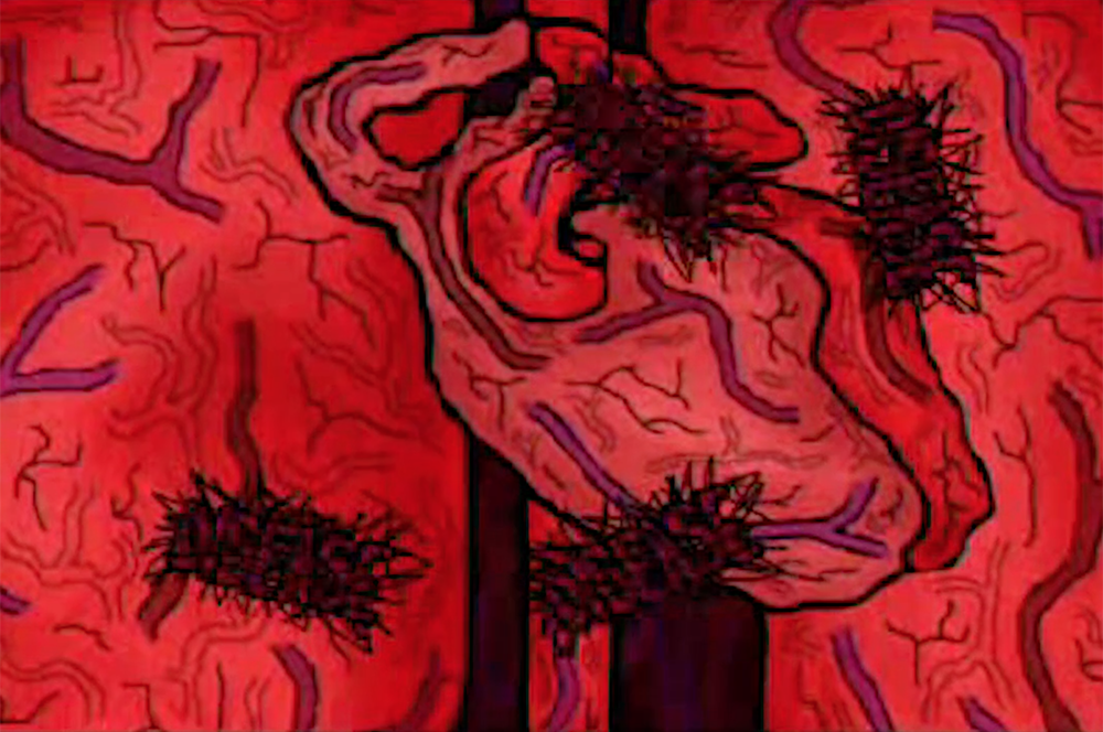 Organs: still