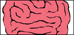 Bouncing of Brains